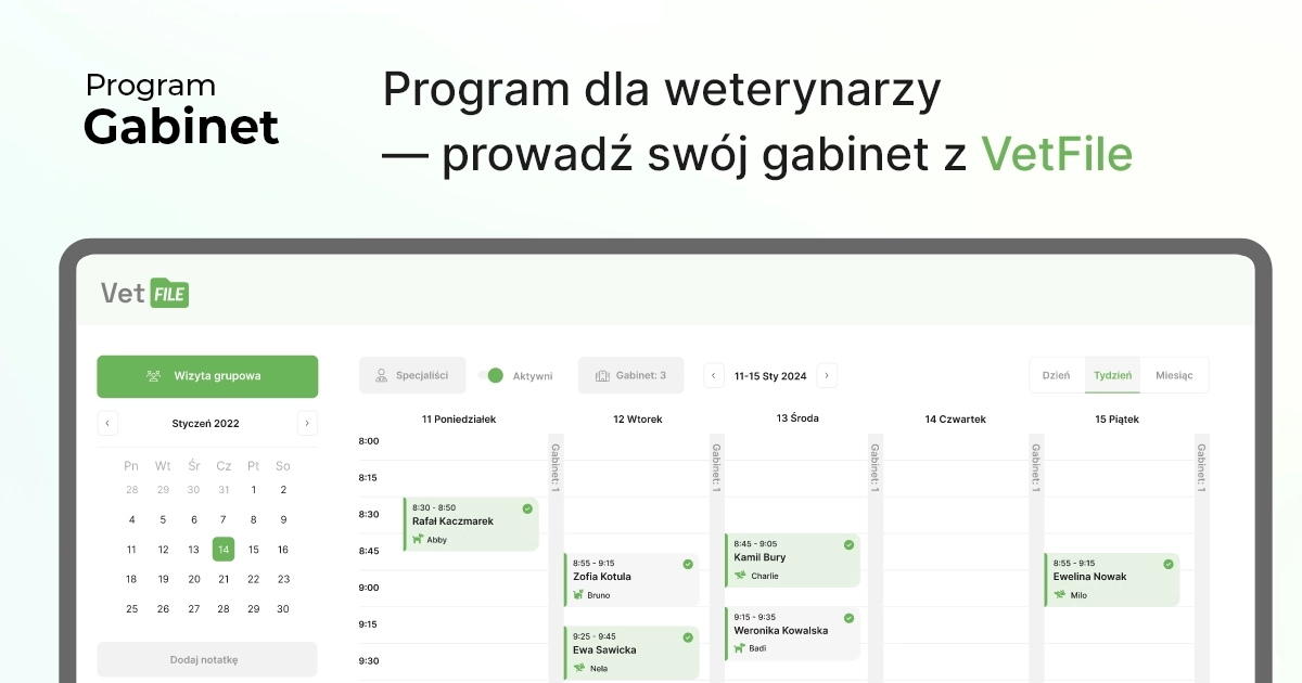 Program dla weterynarzy — prowadź swój gabinet z VetFile